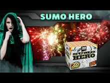 Laden und Abspielen von Videos im Galerie-Viewer, Sumo Hero