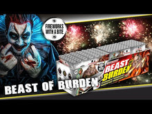 Laden und Abspielen von Videos im Galerie-Viewer, Beast of Burden