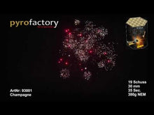 Laden und Abspielen von Videos im Galerie-Viewer, Champagne