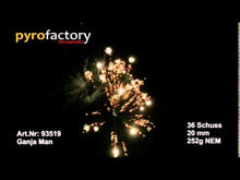 Laden und Abspielen von Videos im Galerie-Viewer, Ganja Man