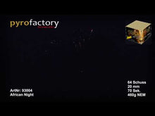 Laden und Abspielen von Videos im Galerie-Viewer, African Night