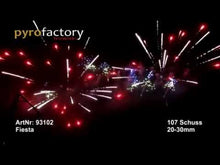 Laden und Abspielen von Videos im Galerie-Viewer, Fiesta