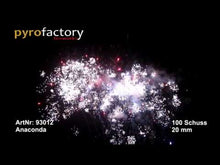 Laden und Abspielen von Videos im Galerie-Viewer, Anaconda